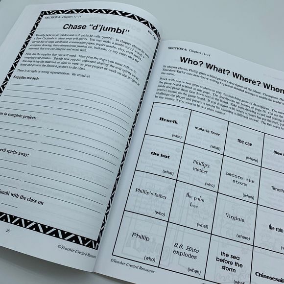 THE CAY by Theodore Taylor LITERATURE UNIT Teacher Resource Homeschool Lesson - Picture 5 of 7